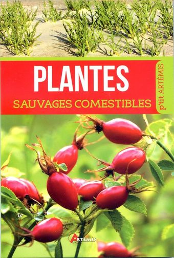 Plantes sauvages comestibles